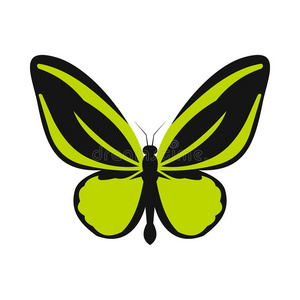 绿色蝴蝶图标，扁平风格