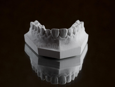 下巴 石膏 实验室 布局 牙齿 医疗保健 义齿 假体 医生