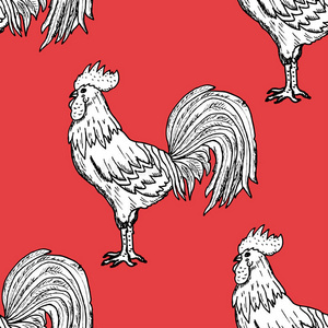 美丽的 爱普生 母鸡 瓷器 羽毛 假日 织物 家禽 日历