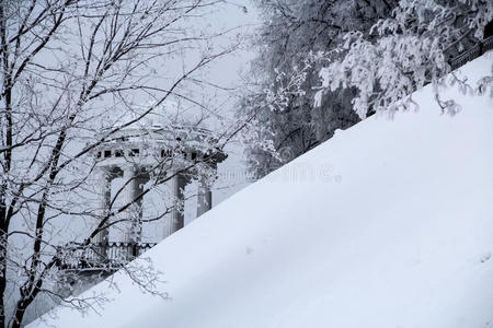 风景 冻结 被雪覆盖 现象 分支 自然 美丽的 斜坡 路堤