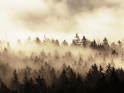 美丽的秋天景观与山景，早晨雾谷