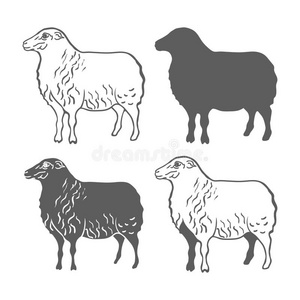 家畜绵羊设计元素向量