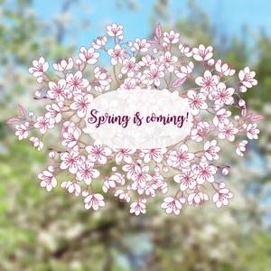 插图 开花 素描 花的 招呼 祝贺你 樱桃 植物 春天 美丽的