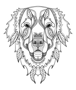 金毛猎犬，涂鸦风格的头，手画