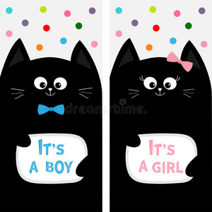 黑猫家族夫妇带蝴蝶结。 传单海报套装。 可爱有趣的卡通人物。 这是个男孩女孩。 婴儿淋浴贺卡。 平的