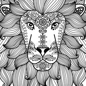 动物 艺术 狮子 非洲 墨水 哺乳动物 面对 国王 涂鸦
