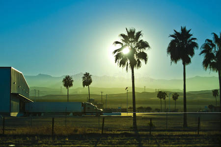 汽车 风景 模糊 天空 货运 存储区域网络 棕榈树 高速公路