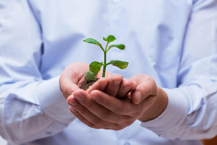 商人 植物学 地球 男人 希望 生活 花园 生长 环境 生态学