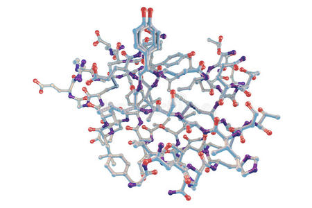 药物 葡萄糖 蛋白质 分子 胰腺 插图 内分泌学 公司 聚合物