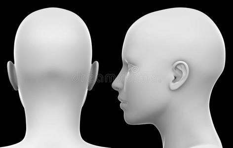 空白白色女性头侧和背面视图隔离在黑色3