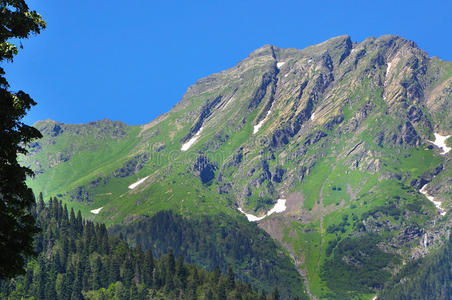 横梁 和平 阿布哈兹 小山 高的 银行 高空 环境 森林