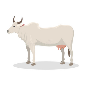 卡通奶牛场动物矢量插图。
