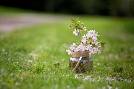 美丽的罐子，上面有粉红色的花和绿色的小小鸡