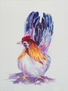 绘画 手工制作的 母鸡 插图 颜色 班塔姆 农业 艺术品