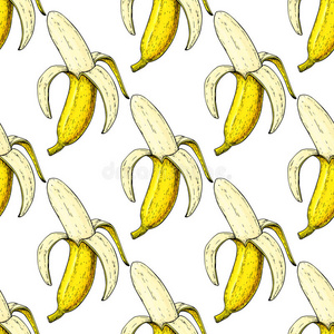 香蕉矢量无缝图案。 在白色背景上孤立的手绘剥离物体。 夏日水果艺术