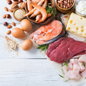健康蛋白质来源和身体建设食品的分类