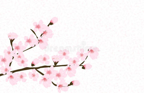 抽象花樱花花日本自然背景矢量