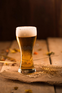 一杯啤酒和大麦大米在金色的灯光下放在木桌上
