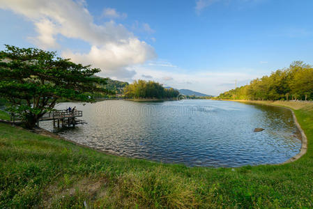 放松 泻湖 自然 花椰菜 最喜欢的 淡水 哈恩 奈伊 公园
