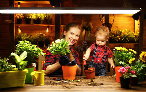 家庭母亲和婴儿种植花卉，在GAR中移植幼苗