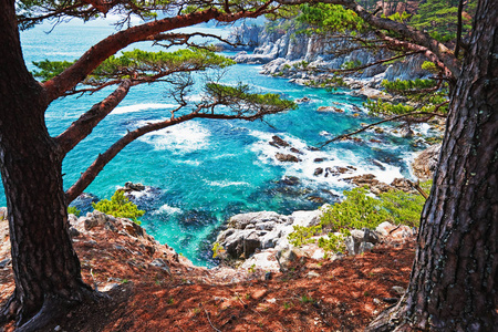 季节 天空 风景 石头 自然 假期 日落 海洋 日本 旅行