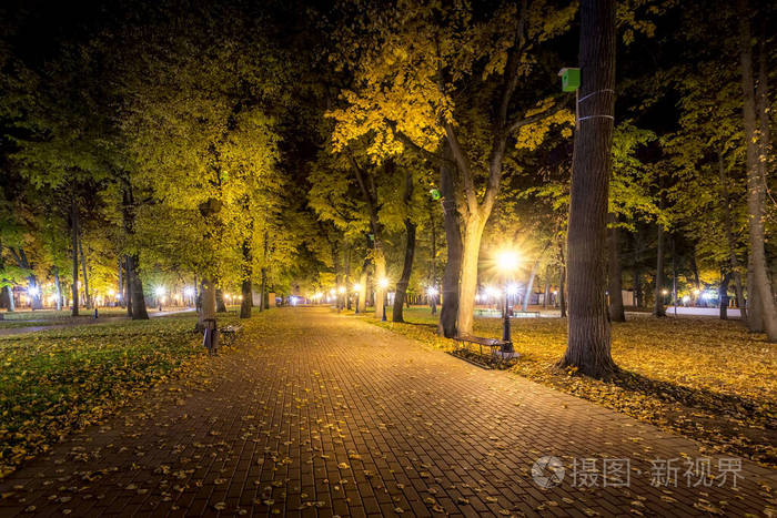 秋天的夜景公园黄叶飘落