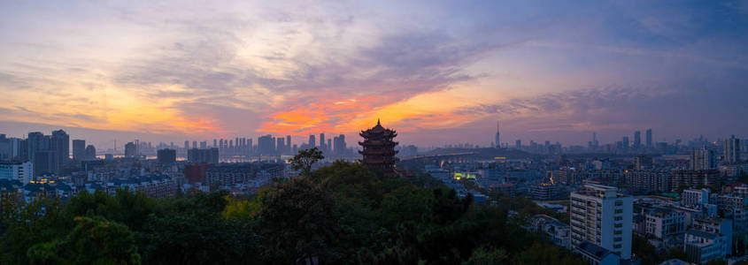 湖北 地标 天际线 全景 生态学 迷人的 瓷器 美丽的 武汉