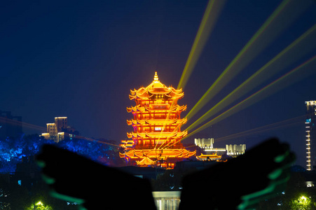 夜景 天空 瓷器 花园 武汉 迷人的 漂亮的 地标 生态学