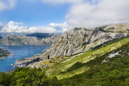 美丽的 夏天 海岸 巴尔干半岛 自然 旅游业 科托 假期