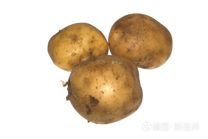 白底马铃薯