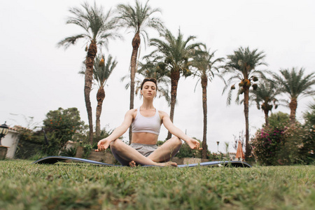 早上在棕榈树下做瑜伽的女人图片
