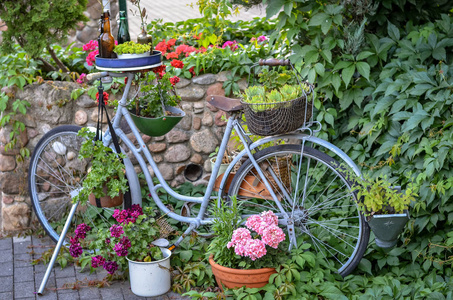 花束 盛开 旅行 运输 复古的 踏板 花园 吸引力 周期