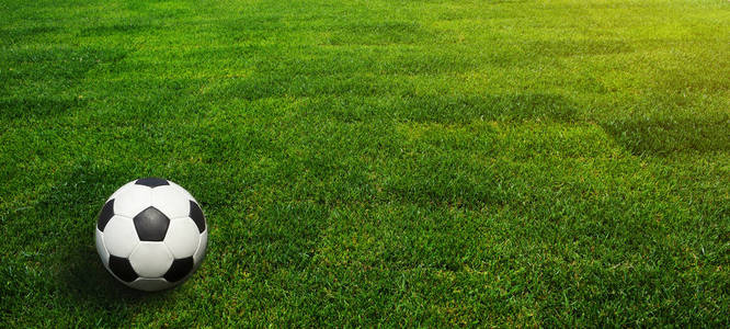   The grass at the stadium.