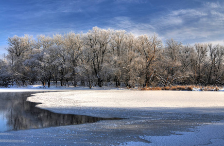雪树映衬下部分融化的湖泊图片