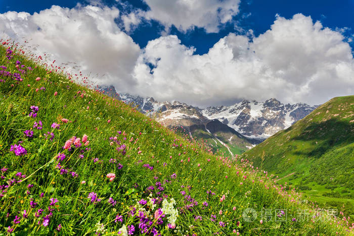 美丽的夏季山景高峰绿草盛开的花朵和蓝天