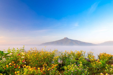 小山 夏天 日出 阳光 春天 早晨 季节 森林 黄昏 美丽的