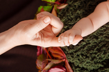新生儿的手牵着妈妈的手。妈妈和她的孩子。纽博