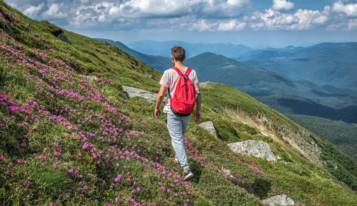 徒步旅行者走在山顶鲜花丛中