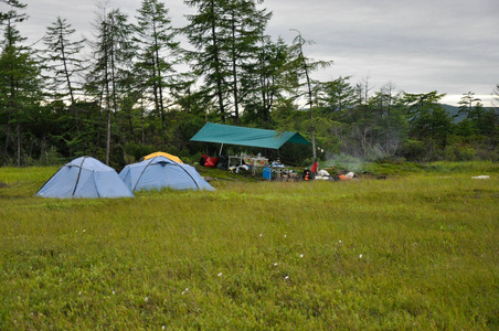 森林边的一片绿色草地上的旅游营地。