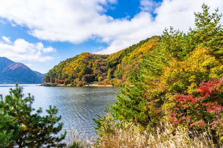 日本山梨川口湖周围美丽的风景