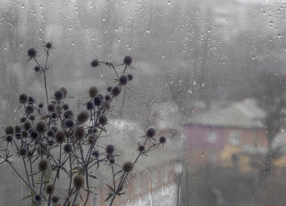 颜色 寒冷的 墙纸 自然 窗口 特写镜头 纹理 雨滴 天气