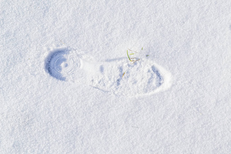 雪地里的鞋印。雪地里鞋子或靴子的一个清晰的脚印。