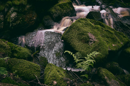 春天 苔藓 流动 瑞典 风景 自然 岩石 瀑布 小溪 欧洲