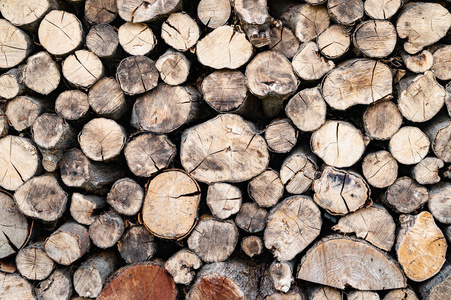 Stack of firewood. Firewood is stacked for drying. Chopped tree.