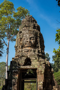 柬埔寨吴哥，塔普罗姆古庙