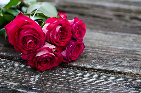 Beautiful fresh roses grow outdoors in the summer 