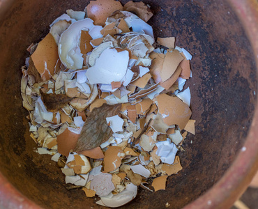 植物 添加剂 回收 要素 管理 蛋壳 浪费 营养 生育能力