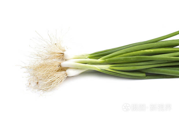 白底鲜熟大葱小葱或大葱