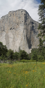   yosemite national  park amazing nature 