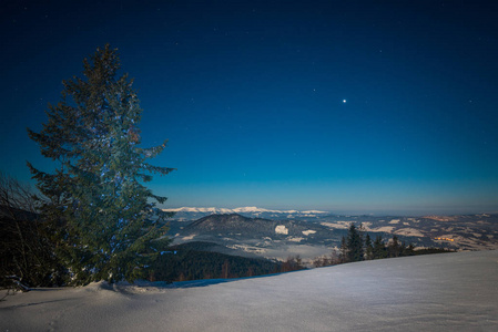 雪高冷杉迷人的神奇景观图片